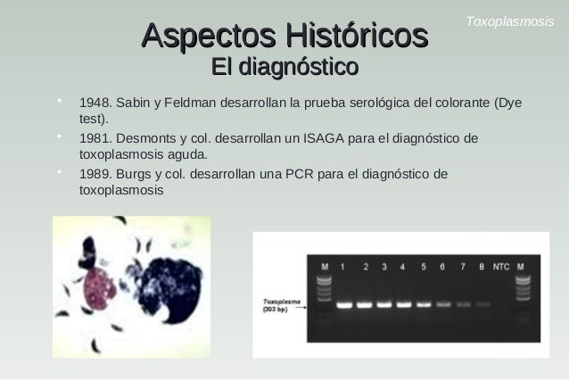 Test De Avidez Toxoplasmosis Download
